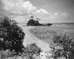 Okinawa History Photo