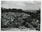 Okinawa History Photo