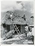 Okinawa History Photo